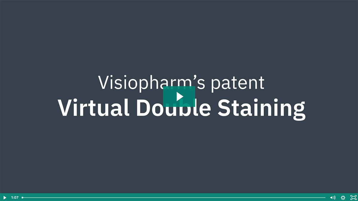 Virtual double staining - Visiopharm patent for training annotations 