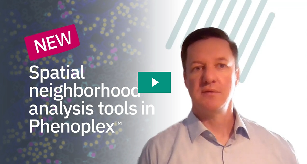 Spatial neighborhood analysis tools in PhenoplexTM