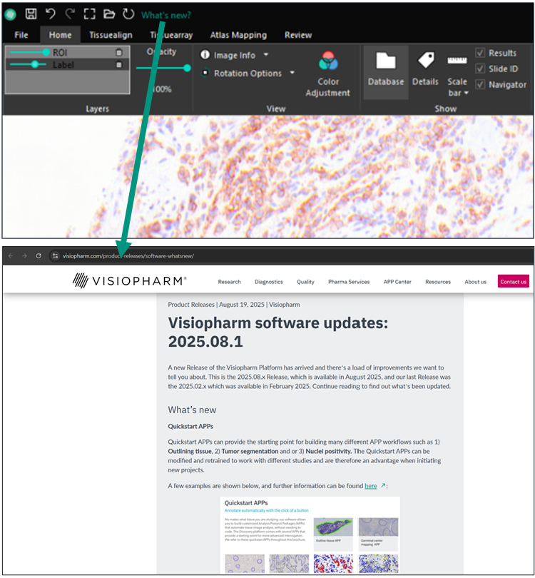 Easy access to the latest updates